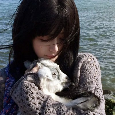 警犬赤龙